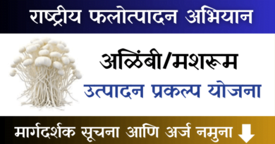 Alimbi Mushroom Production Project Scheme