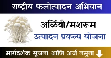 Alimbi Mushroom Production Project Scheme