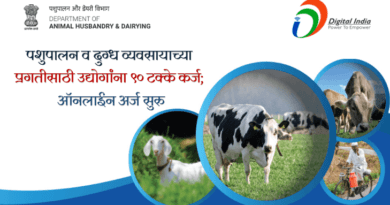 Animal Husbandry and Dairy Business