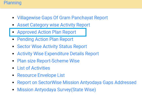 Approved Action Plan Report