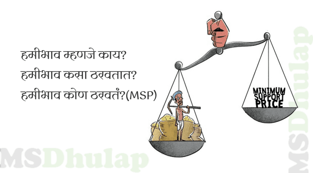 MSP