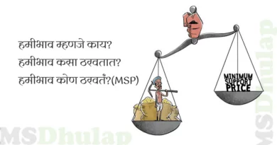 MSP