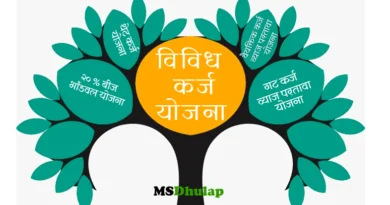 Various loan schemes