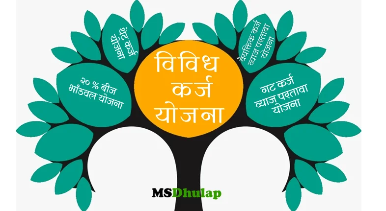 Various loan schemes