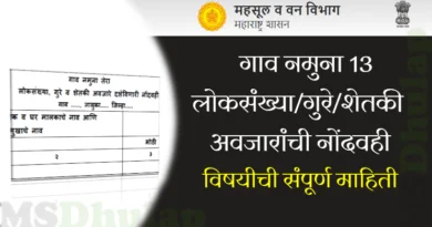 गाव नमुना 13