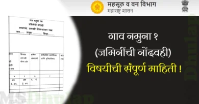 गाव नमुना १
