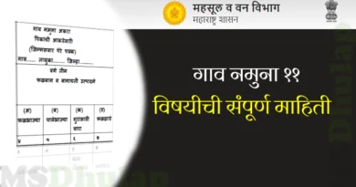 गाव नमुना ११