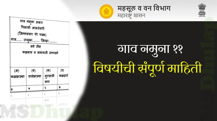 गाव नमुना ११