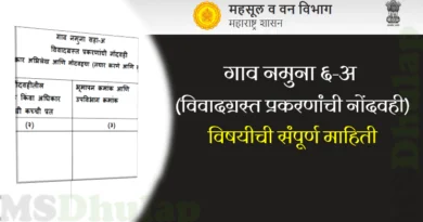 गाव नमुना ६-अ