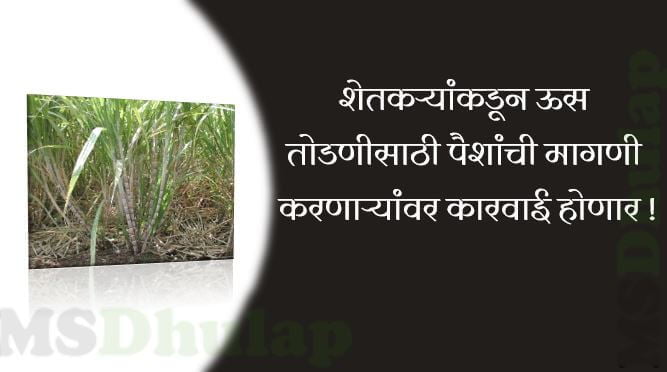 शेतकऱ्यांकडून ऊस तोडणीसाठी पैशांची मागणी करणाऱ्यांवर कारवाई होणार