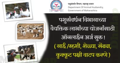 Animal Husbandry Department schemes (Pashusavardhan Vibhag Yojana)
