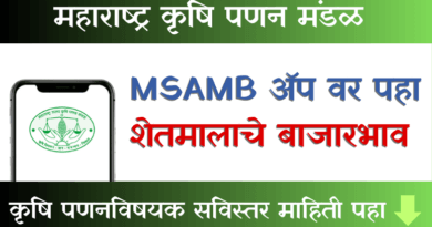 MSAMB App