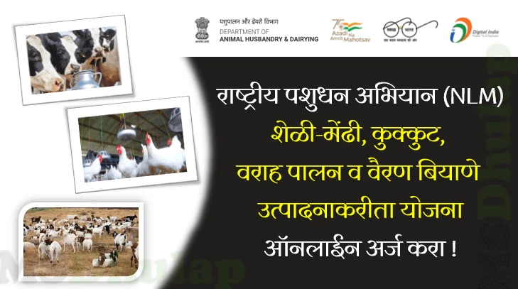राष्ट्रीय पशुधन अभियान (NLM) National Livestock Mission