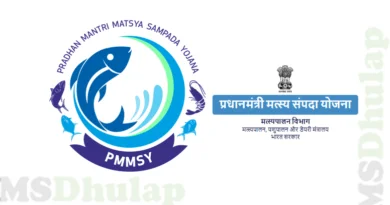pmmsy
