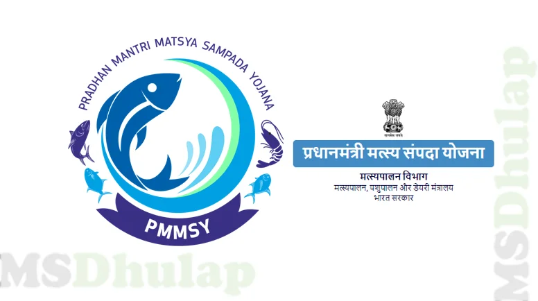 pmmsy