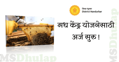 मध केंद्र योजनेसाठी अर्ज सुरु - नंदुरबार