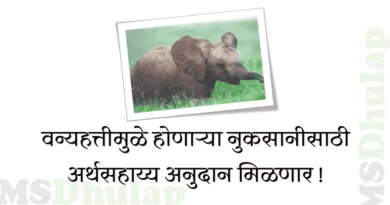 वन्यहत्तीमुळे होणाऱ्या नुकसानीसाठी अर्थसहाय्य अनुदान मिळणार