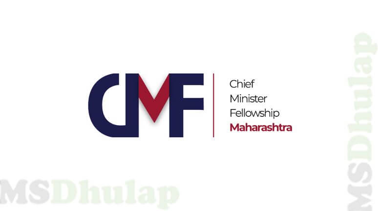 Chief Minister Fellowship Program