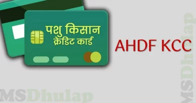 पशु किसान क्रेडिट कार्डसाठी असा करा अर्ज ! Pashu Kisan Credit Card