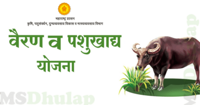 वैरण व पशुखाद्य विकास कार्यक्रम : vairan pashu khadya vikas yojana