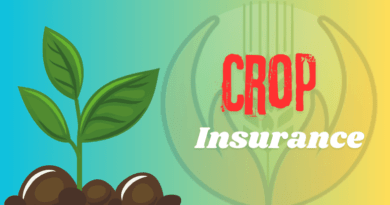 Crop Insurance