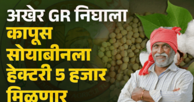 कापूस व सोयाबीन उत्पादक शेतकऱ्यांना प्रति हेक्टरी ५ हजार रुपये मिळणार !