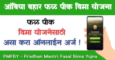 Ambia Bahar Fal Pik Vima Yojana