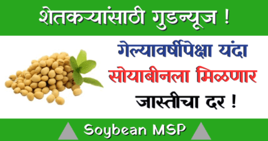 Soybean MSP