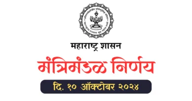 cabinet decision 10 october 2024