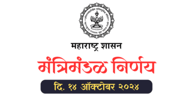 cabinet decision 14 october 2024