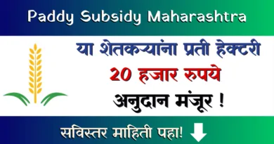 Dhan Subsidy