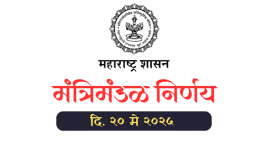 Cabinet Decision 20 May 2025