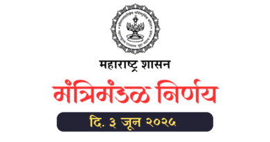 Cabinet Decision Dated 3 June 2025