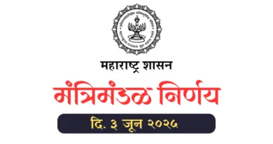 Cabinet Decision Dated 3 June 2025