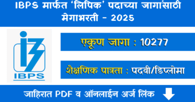 IBPS Clerk Bharti 2025