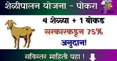 शेळीपालन योजना - Sheli Palan Yojana POCRA