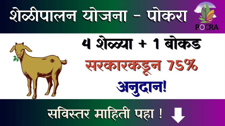 शेळीपालन योजना - Sheli Palan Yojana POCRA
