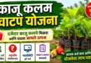 काजू कलम वाटप योजना - Kaju Kalam Vatap Yojana 2026