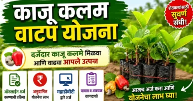 काजू कलम वाटप योजना - Kaju Kalam Vatap Yojana 2026