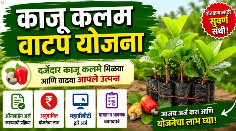 काजू कलम वाटप योजना - Kaju Kalam Vatap Yojana 2026